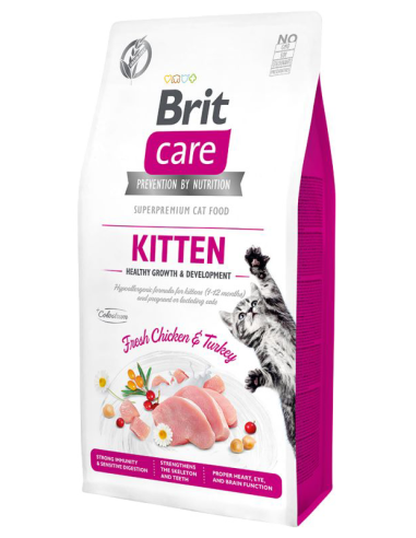 Brit care cat kitten