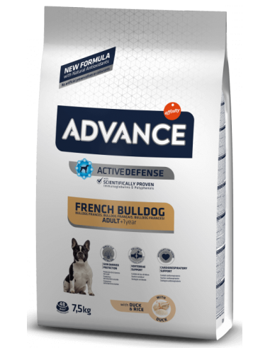 Advance bulldog francés