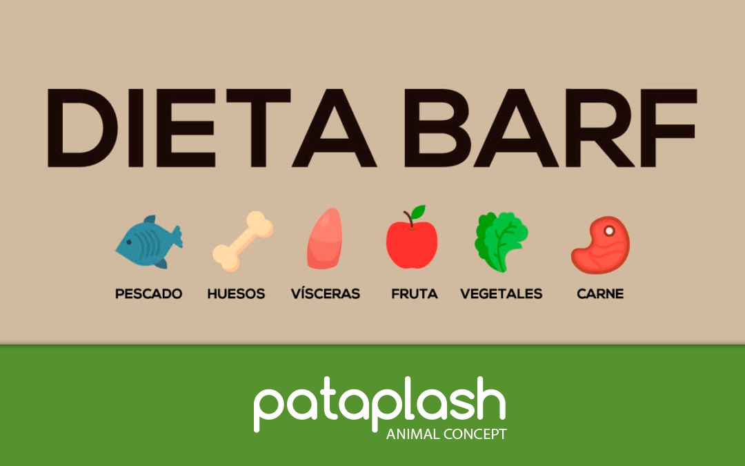 Dieta BARF en Pataplash Tenerife